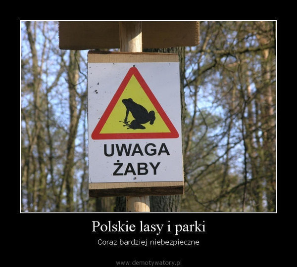 Polskie lasy i parki – Coraz bardziej niebezpieczne  