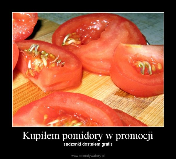 Kupiłem pomidory w promocji