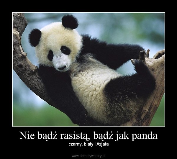 Nie bądź rasistą, bądź jak panda