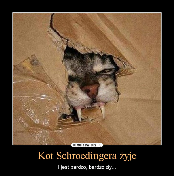 Kot Schroedingera żyje – I jest bardzo, bardzo zły... 
