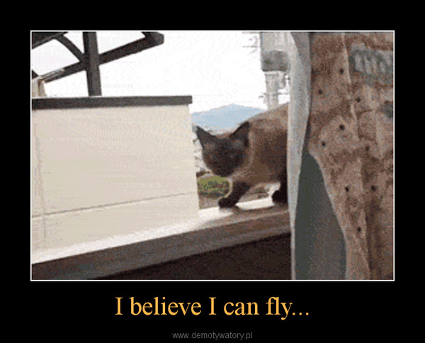 I believe I can fly... –  