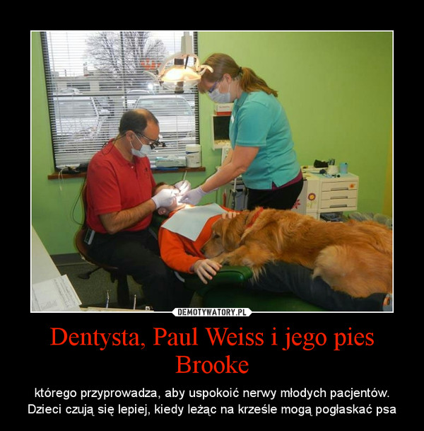 Dentysta, Paul Weiss i jego pies Brooke – którego przyprowadza, aby uspokoić nerwy młodych pacjentów. Dzieci czują się lepiej, kiedy leżąc na krześle mogą pogłaskać psa 