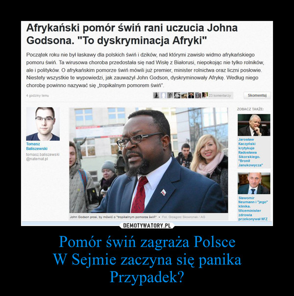 Pomór świń zagraża PolsceW Sejmie zaczyna się panikaPrzypadek? –  