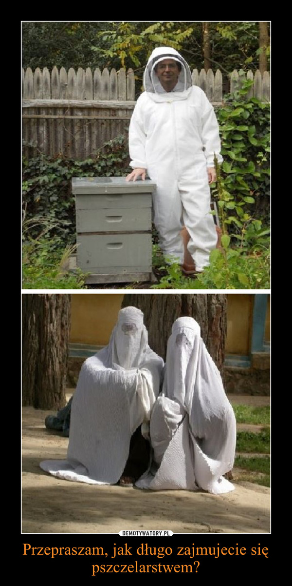 Przepraszam, jak długo zajmujecie się pszczelarstwem? –  