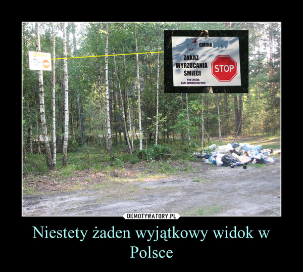 Niestety żaden wyjątkowy widok w Polsce –  