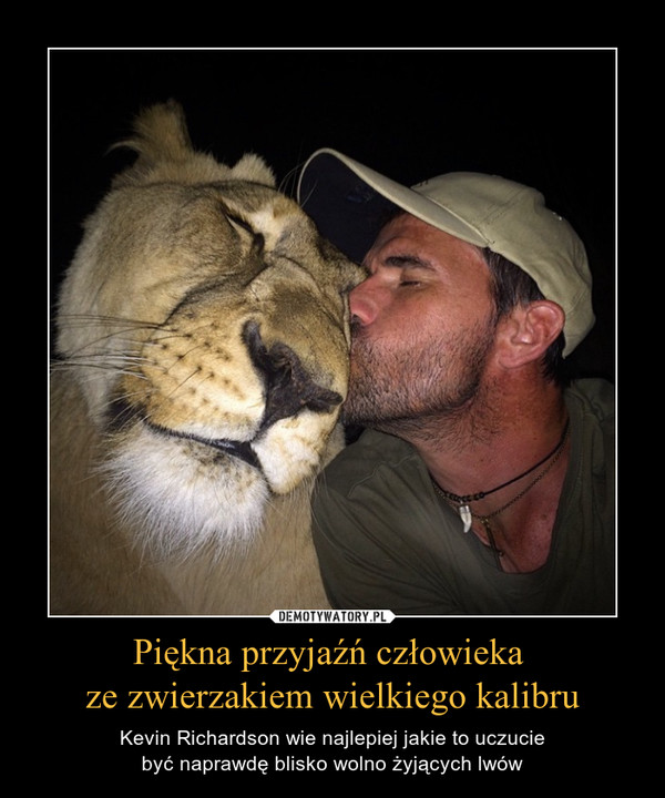 Piękna przyjaźń człowieka ze zwierzakiem wielkiego kalibru – Kevin Richardson wie najlepiej jakie to uczuciebyć naprawdę blisko wolno żyjących lwów 