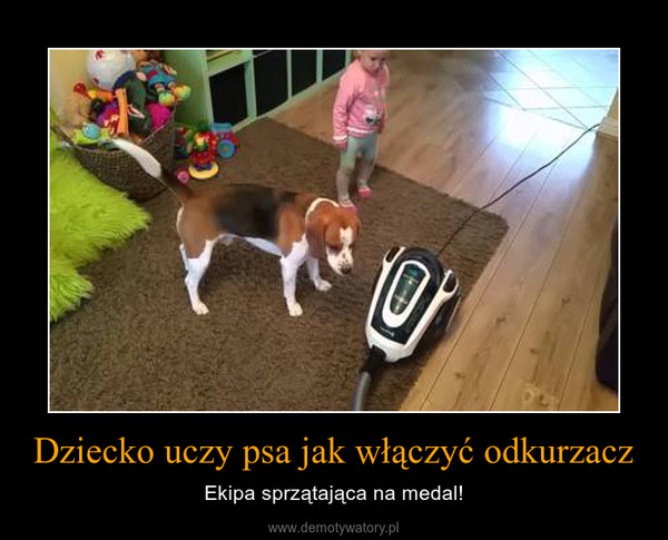 Dziecko uczy psa jak włączyć odkurzacz – Ekipa sprzątająca na medal! 