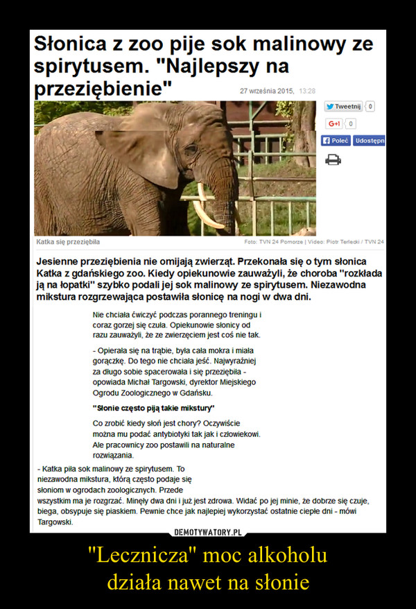 ''Lecznicza'' moc alkoholu
działa nawet na słonie