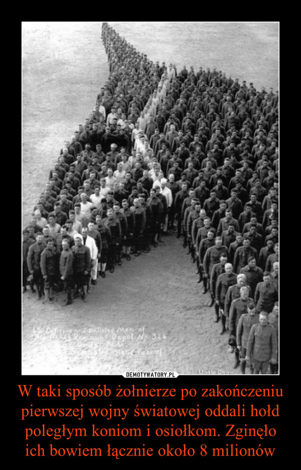 W taki sposób żołnierze po zakończeniu pierwszej wojny światowej oddali hołd poległym koniom i osiołkom. Zginęło ich bowiem łącznie około 8 milionów –  