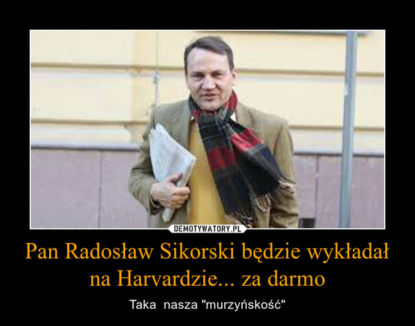 Pan Radosław Sikorski będzie wykładał na Harvardzie... za darmo