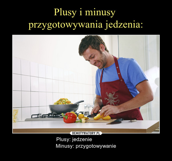  – Plusy: jedzenie                Minusy: przygotowywanie 