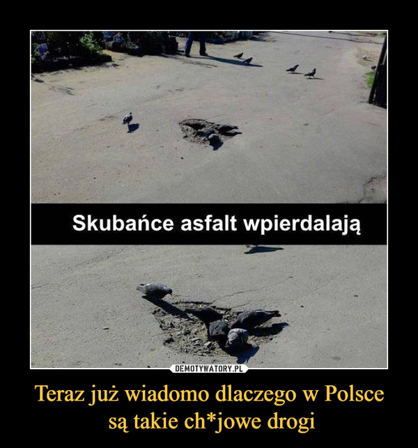 Teraz już wiadomo dlaczego w Polsce są takie ch*jowe drogi –  