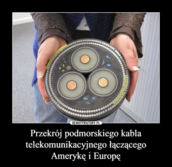 Przekrój podmorskiego kabla telekomunikacyjnego łączącego Amerykę i Europę –  