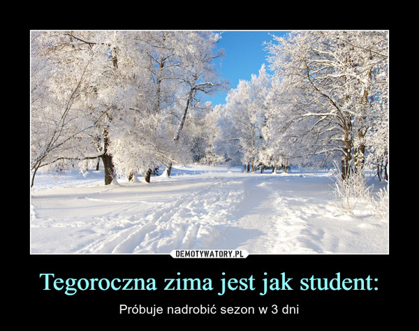 Tegoroczna zima jest jak student: – Próbuje nadrobić sezon w 3 dni 