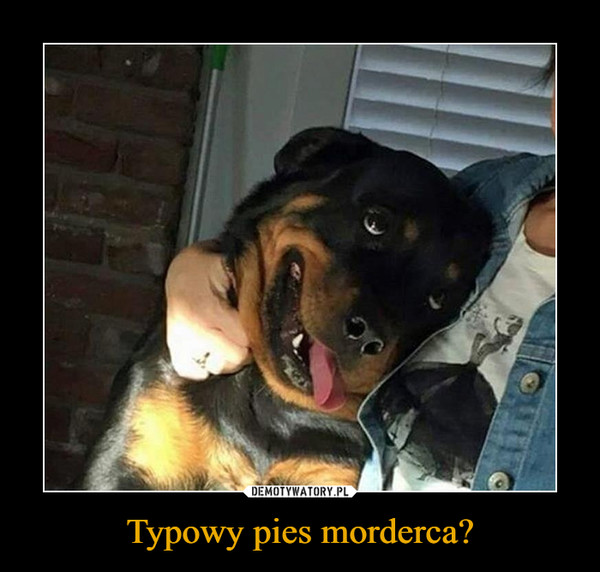 Typowy pies morderca? –  