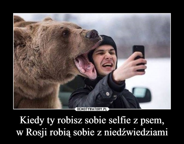 Kiedy ty robisz sobie selfie z psem,w Rosji robią sobie z niedźwiedziami –  