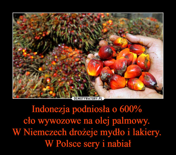 Indonezja podniosła o 600% 
cło wywozowe na olej palmowy. 
W Niemczech drożeje mydło i lakiery. 
W Polsce sery i nabiał