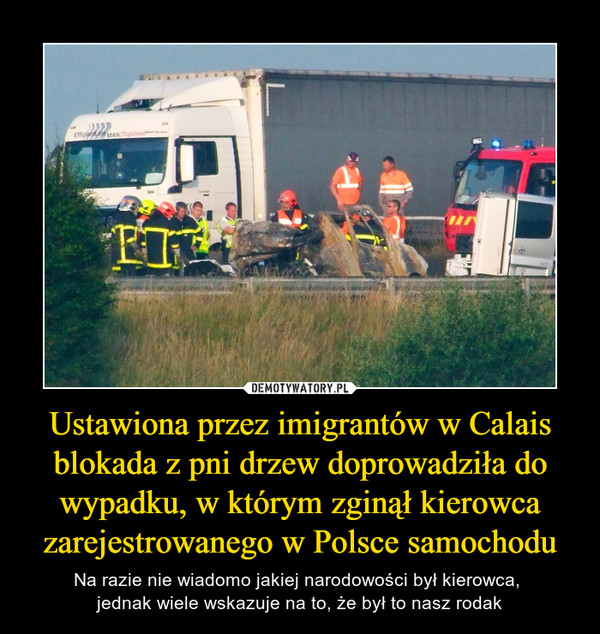 Ustawiona przez imigrantów w Calais blokada z pni drzew doprowadziła do wypadku, w którym zginął kierowca zarejestrowanego w Polsce samochodu