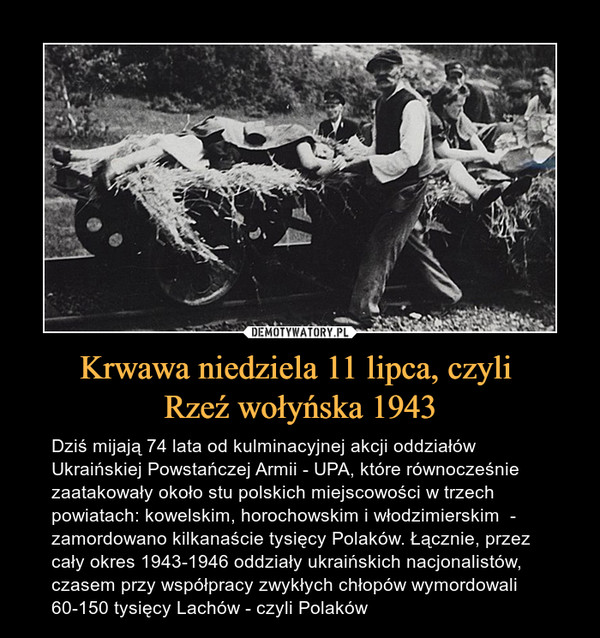 Krwawa niedziela 11 lipca, czyli Rzeź wołyńska 1943 – Dziś mijają 74 lata od kulminacyjnej akcji oddziałów Ukraińskiej Powstańczej Armii - UPA, które równocześnie zaatakowały około stu polskich miejscowości w trzech powiatach: kowelskim, horochowskim i włodzimierskim  - zamordowano kilkanaście tysięcy Polaków. Łącznie, przez cały okres 1943-1946 oddziały ukraińskich nacjonalistów, czasem przy współpracy zwykłych chłopów wymordowali 60-150 tysięcy Lachów - czyli Polaków 