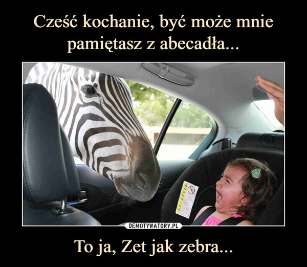 To ja, Zet jak zebra... –  