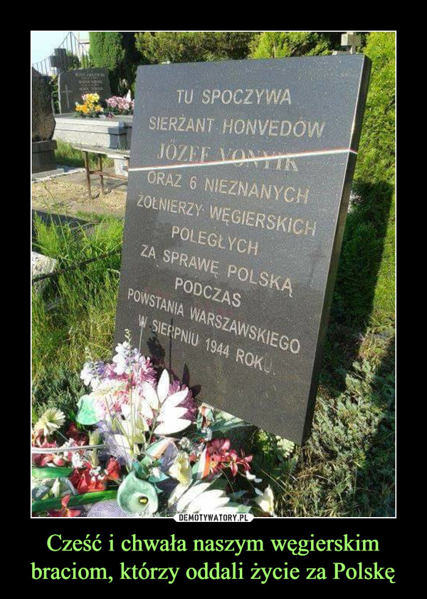Cześć i chwała naszym węgierskim braciom, którzy oddali życie za Polskę