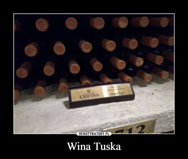 Wina Tuska –  Donald Tusk