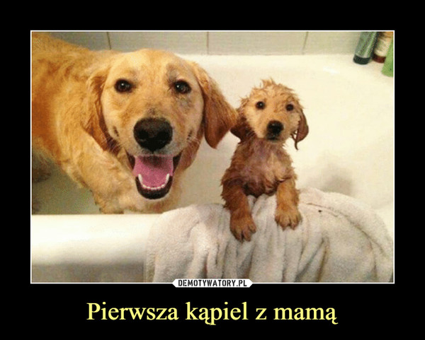 Pierwsza kąpiel z mamą –  