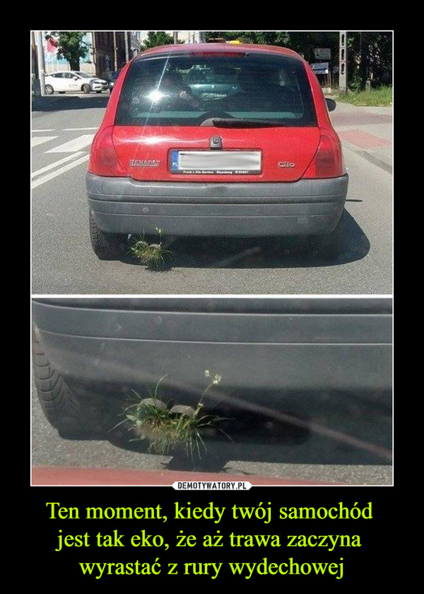 Ten moment, kiedy twój samochód jest tak eko, że aż trawa zaczyna wyrastać z rury wydechowej –  