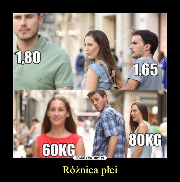 Różnica płci –  1,80 1,6560kg 80kg