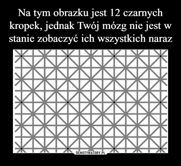 Na tym obrazku jest 12 czarnych kropek, jednak Twój mózg nie jest w stanie zobaczyć ich wszystkich naraz