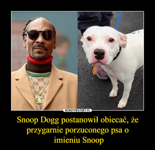 Snoop Dogg postanowił obiecać, że przygarnie porzuconego psa o imieniu Snoop –  