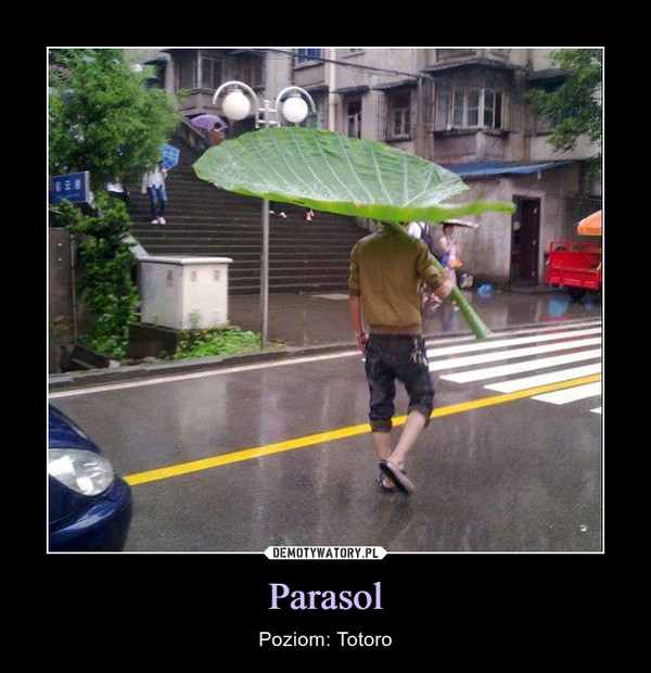 Parasol – Poziom: Totoro 