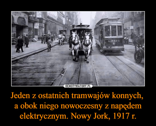 Jeden z ostatnich tramwajów konnych, 
a obok niego nowoczesny z napędem elektrycznym. Nowy Jork, 1917 r.