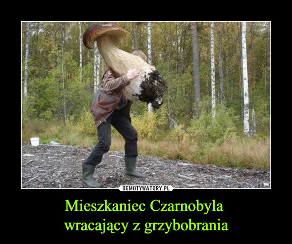 Mieszkaniec Czarnobyla wracający z grzybobrania –  