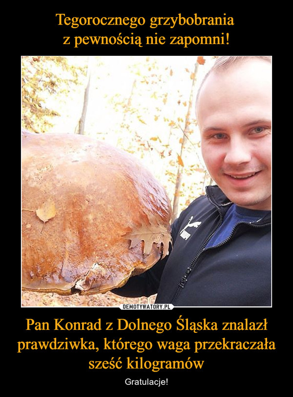 Pan Konrad z Dolnego Śląska znalazł prawdziwka, którego waga przekraczała sześć kilogramów – Gratulacje! 
