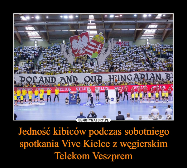 Jedność kibiców podczas sobotniego spotkania Vive Kielce z węgierskim Telekom Veszprem