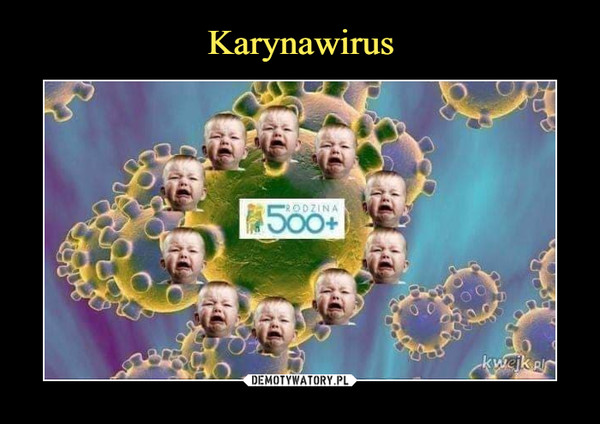 Karynawirus