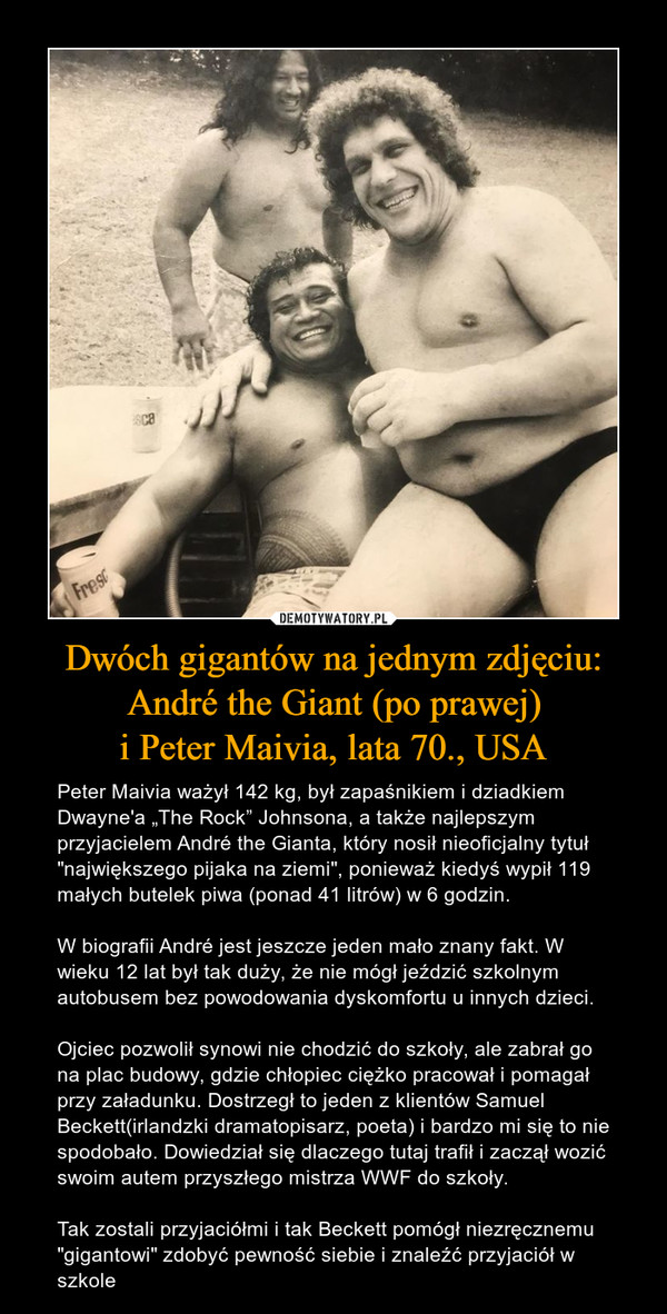Dwóch gigantów na jednym zdjęciu:
André the Giant (po prawej)
i Peter Maivia, lata 70., USA