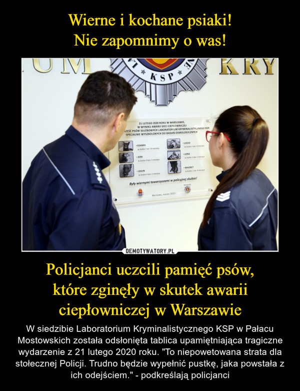 Policjanci uczcili pamięć psów,które zginęły w skutek awariiciepłowniczej w Warszawie – W siedzibie Laboratorium Kryminalistycznego KSP w Pałacu Mostowskich została odsłonięta tablica upamiętniająca tragiczne wydarzenie z 21 lutego 2020 roku. "To niepowetowana strata dla stołecznej Policji. Trudno będzie wypełnić pustkę, jaka powstała z ich odejściem." - podkreślają policjanci 