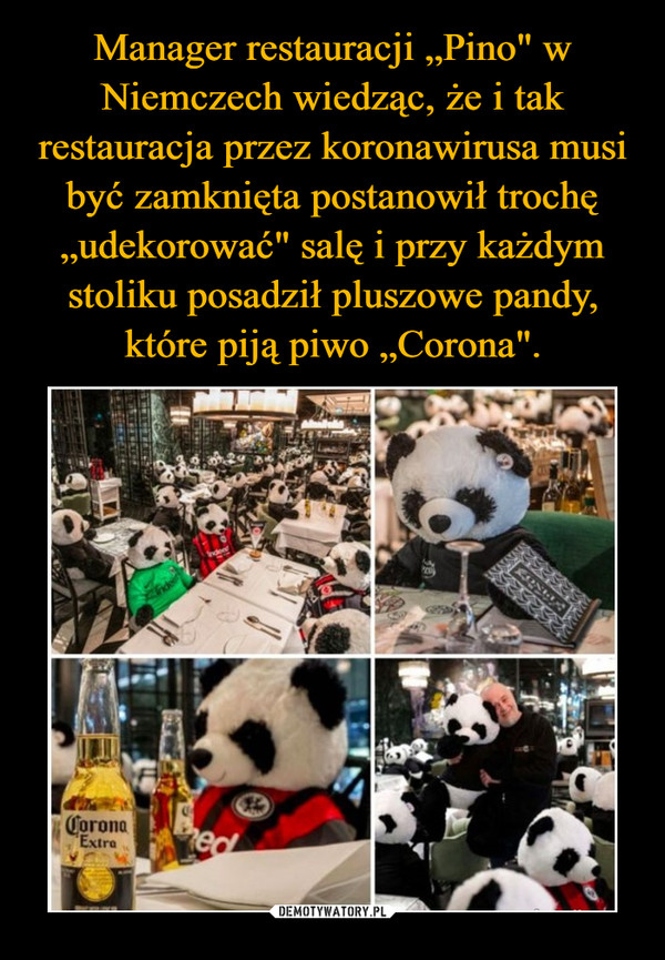 Manager restauracji „Pino" w Niemczech wiedząc, że i tak restauracja przez koronawirusa musi być zamknięta postanowił trochę „udekorować" salę i przy każdym stoliku posadził pluszowe pandy, które piją piwo „Corona".