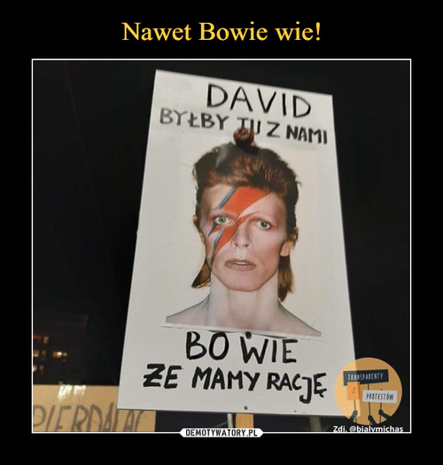 Nawet Bowie wie!