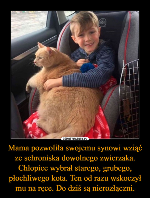 Mama pozwoliła swojemu synowi wziąć ze schroniska dowolnego zwierzaka. Chłopiec wybrał starego, grubego, płochliwego kota. Ten od razu wskoczył mu na ręce. Do dziś są nierozłączni. –  