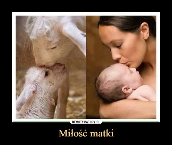 Miłość matki –  