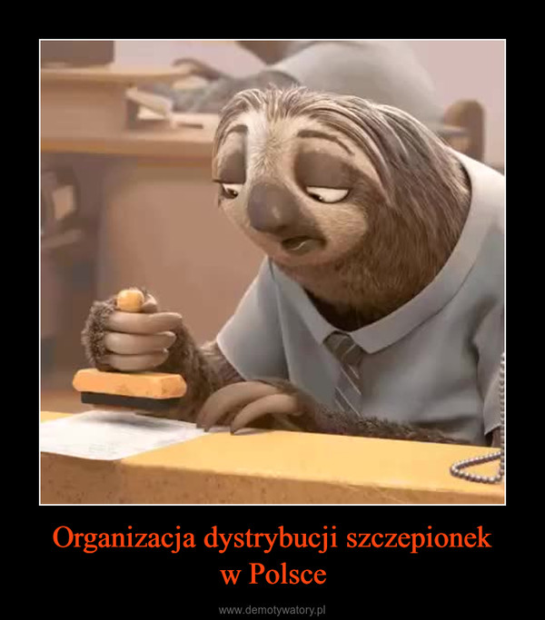 Organizacja dystrybucji szczepionekw Polsce –  