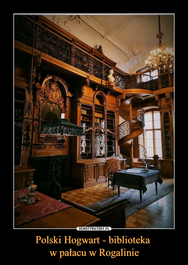 Polski Hogwart - biblioteka 
w pałacu w Rogalinie