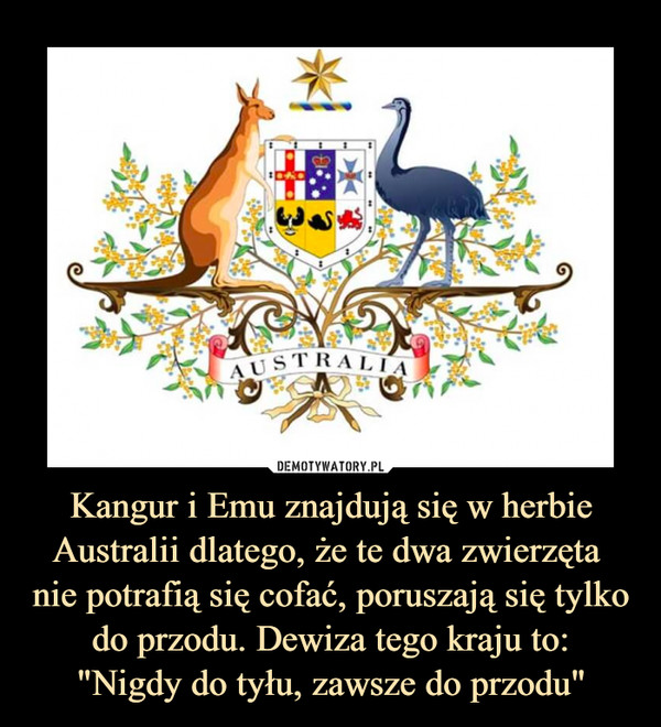 Kangur i Emu znajdują się w herbie Australii dlatego, że te dwa zwierzęta nie potrafią się cofać, poruszają się tylkodo przodu. Dewiza tego kraju to:"Nigdy do tyłu, zawsze do przodu" –  