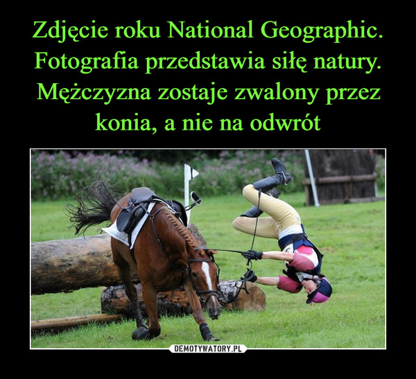 Zdjęcie roku National Geographic. Fotografia przedstawia siłę natury. Mężczyzna zostaje zwalony przez konia, a nie na odwrót
