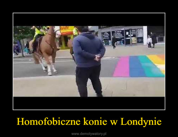 Homofobiczne konie w Londynie –  