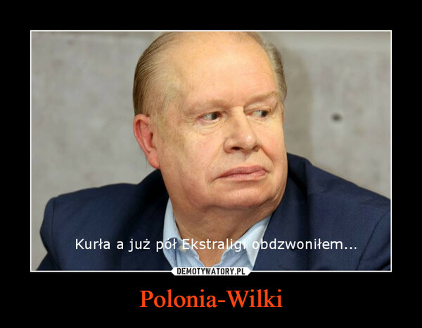 Polonia-Wilki –  