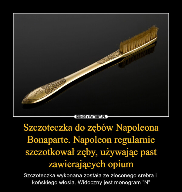 Szczoteczka do zębów Napoleona Bonaparte. Napoleon regularnie szczotkował zęby, używając past zawierających opium – Szczoteczka wykonana została ze złoconego srebra i końskiego włosia. Widoczny jest monogram "N" 
